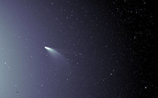罕见 NASA拍到NEOWISE彗星惊人图像