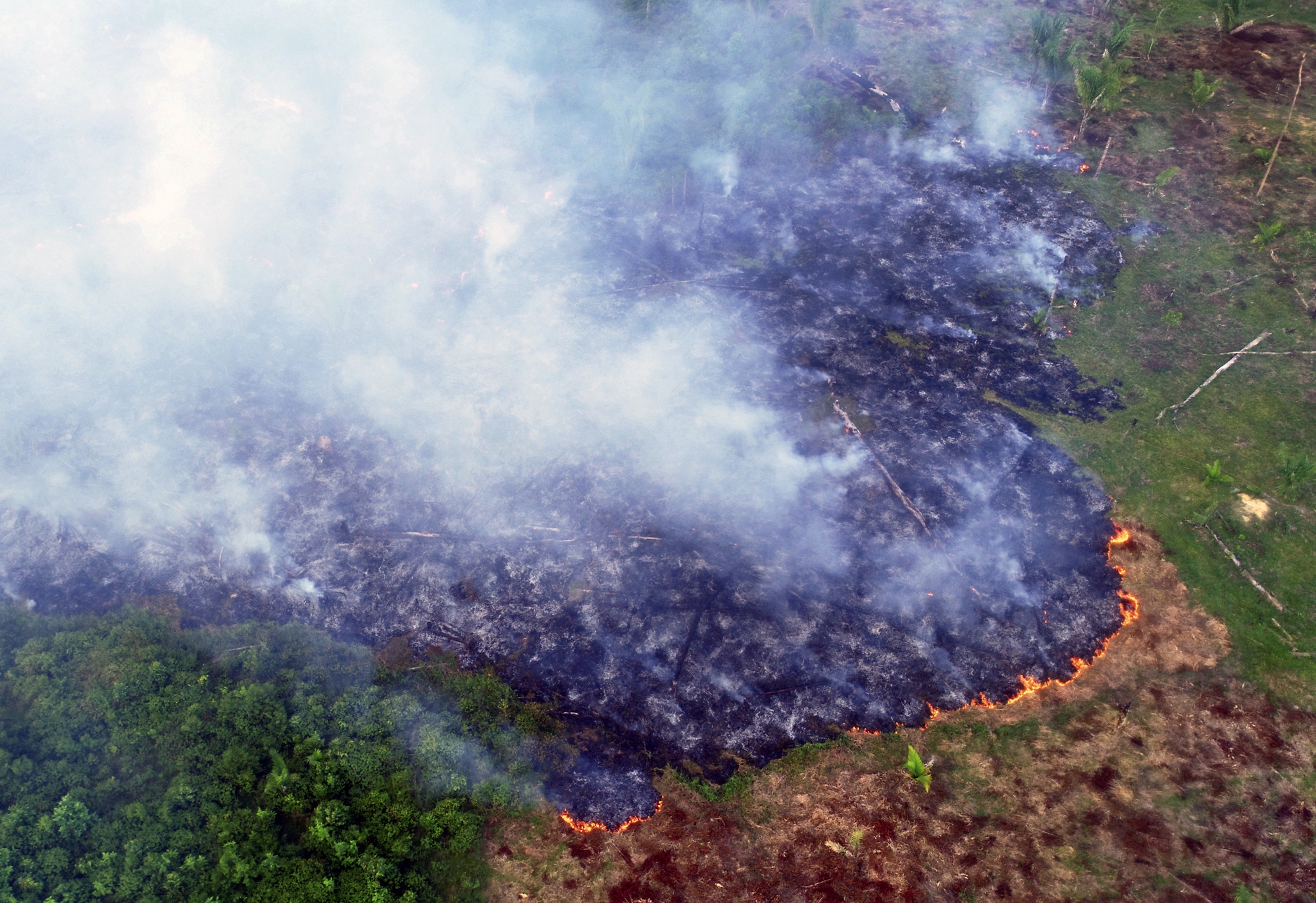 林火继续肆虐亚马逊雨林生态系统或崩溃| 森林砍伐| 森林大火| 巴西| 大紀元