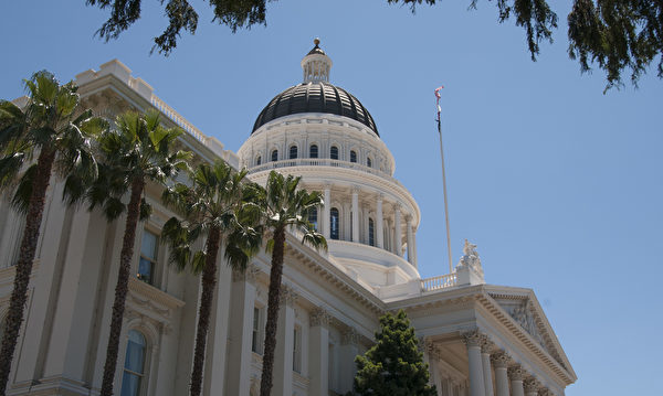 加州的大学篮球队德州拼冠军 大学不能付旅费