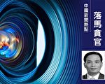 中粮集团总会计师骆家駹落马