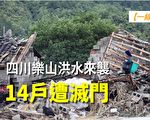 【一線採訪視頻版】四川樂山洪水來襲 14戶遭滅門