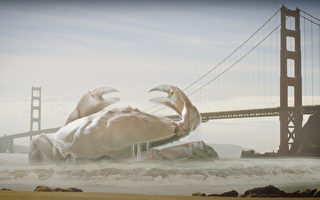 灣區視頻Bay Area Video用鏡頭演繹您的品牌故事（上）