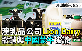 【澳洲简讯8.25】澳洲乳品公司撤销与中国协议