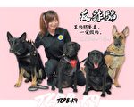 中市推“青春五反” 警犬同框秀萌梗图