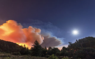 天使国家森林爆发“湖火” 蔓延已逾万亩