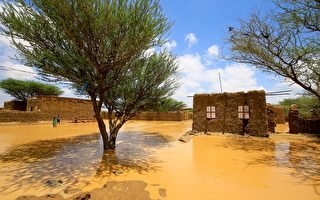 组图：苏丹洪灾 影响超过五万人