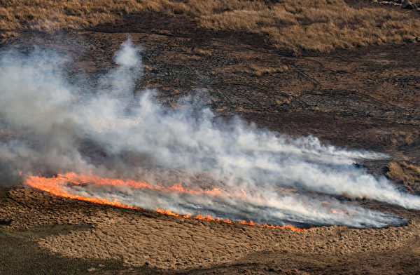 2020年8月1日，阿根廷巴拉那河三角洲，原本的沼泽地已干旱，部分区域发生火灾。
