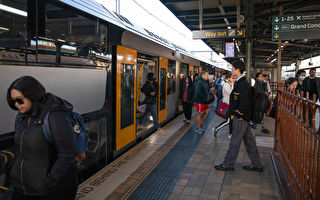 悉尼市区火车拥挤 交通厅长吁戴口罩