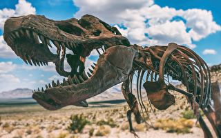 科學家發現恐龍時代新物種 進化論再遭質疑