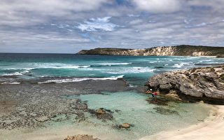 澳洲年度十佳海灘揭曉 袋鼠島海灣名列榜首