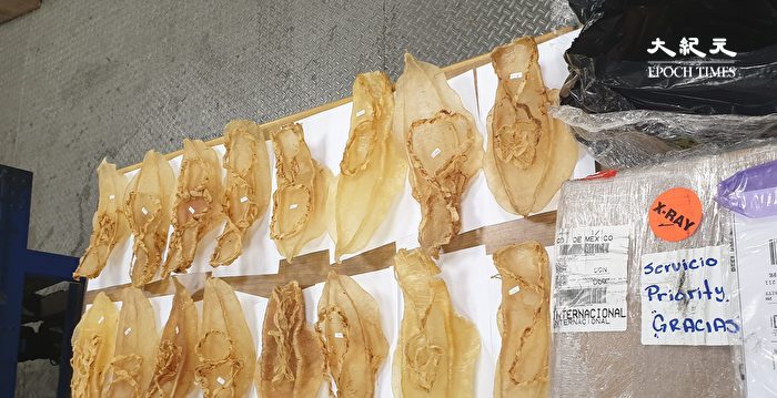 墨西哥解除禁令 允许石首鱼鳔出口中国