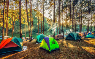 省级公园露营预定于3月4日开始