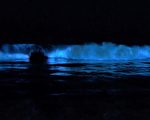 圣塔克鲁兹海浪在夜间闪烁着蓝光