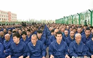 澳洲智库：中共在新疆建380座集中营