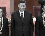 【网海拾贝】驯兽员给自己养的兽喂花生米