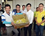 穩定農民收入 高市府宣布補助農業保險20％
