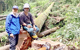 嘉大傳承林木收穫技術建置伐造等數位教材