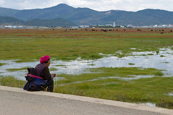中共被曝以扶貧為名 強制數十萬藏人進訓練營