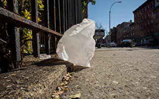 全美首个 新州超市将禁用一次性纸袋与塑料袋