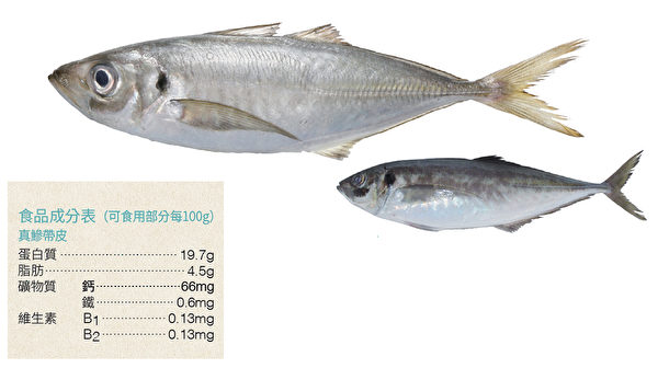 竹莢魚是營養均衡的代表性青背魚。（方舟文化提供／大紀元合成）