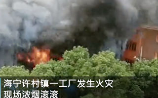 【现场视频】浙江海宁一工业园起火 浓烟滚滚