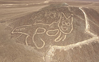 神祕納斯卡地畫再現 斜坡有隻37米長古貓