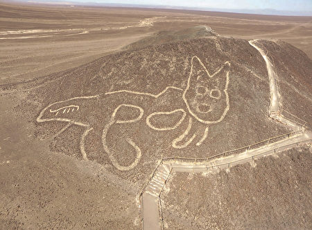 神秘纳斯卡地画再现斜坡有只37米长古猫 秘鲁 沙漠 猫科动物 大纪元