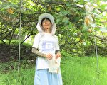 耕耘梨山实验果园 阿宝还土地予山林