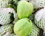 台湾芭乐来了！3日至18日进南加各大超市