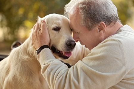 日本愛心犬有預知力陪臨終老人走完最後一程| 文福| 高齡者| 櫻之里山科| 大紀元