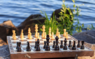 8岁男童缔造历史 击败国际象棋特级大师