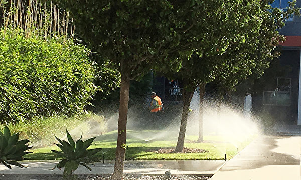 火灾季节 官员敦促午前修剪草坪