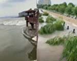 【視頻】錢塘江現近3年來最大湧潮