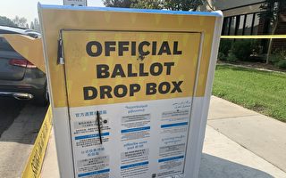 投票箱被毁或波及200多份选票 洛县每日清箱