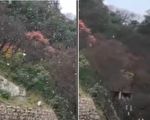 【视频】洛阳白云山、老君山景区均下雪