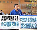 桃竹苗停灌波及大甲  议员批2期稻恐难收成