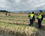 三星葱飙高价 引窃嫌觊觎 警方启动护葱专案