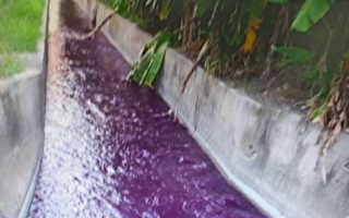 美浓水圳遭污染 水质复检合格29日重启供灌