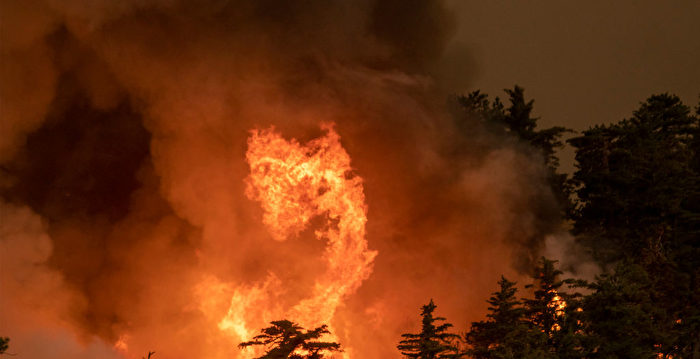 加州过去十年有1/8土地被野火烧毁