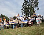 最后倒计时 尔湾居民助选市长谢伊连任