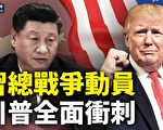 严真点评&外交部大实话:川普冲刺 习总动员