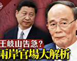 【十字路口】两岸官场大解析 王岐山告急?