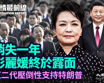 【役情最前线】消失近一年 彭丽媛终于露面