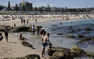 热浪席卷澳洲 悉尼高温创下11月最热纪录