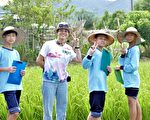 成為水田小科學家 台灣裡山塾孩子下田了