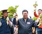 2020桃园花彩节大园接续登场 体验在地农事乐趣