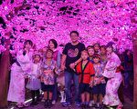 屏东四重溪温泉季点灯 梦幻桃花灯海超浪漫