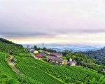 安心國旅接替方案12月開跑 交部設3條件