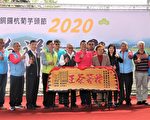 銅鑼杭菊芋頭節浪漫登場