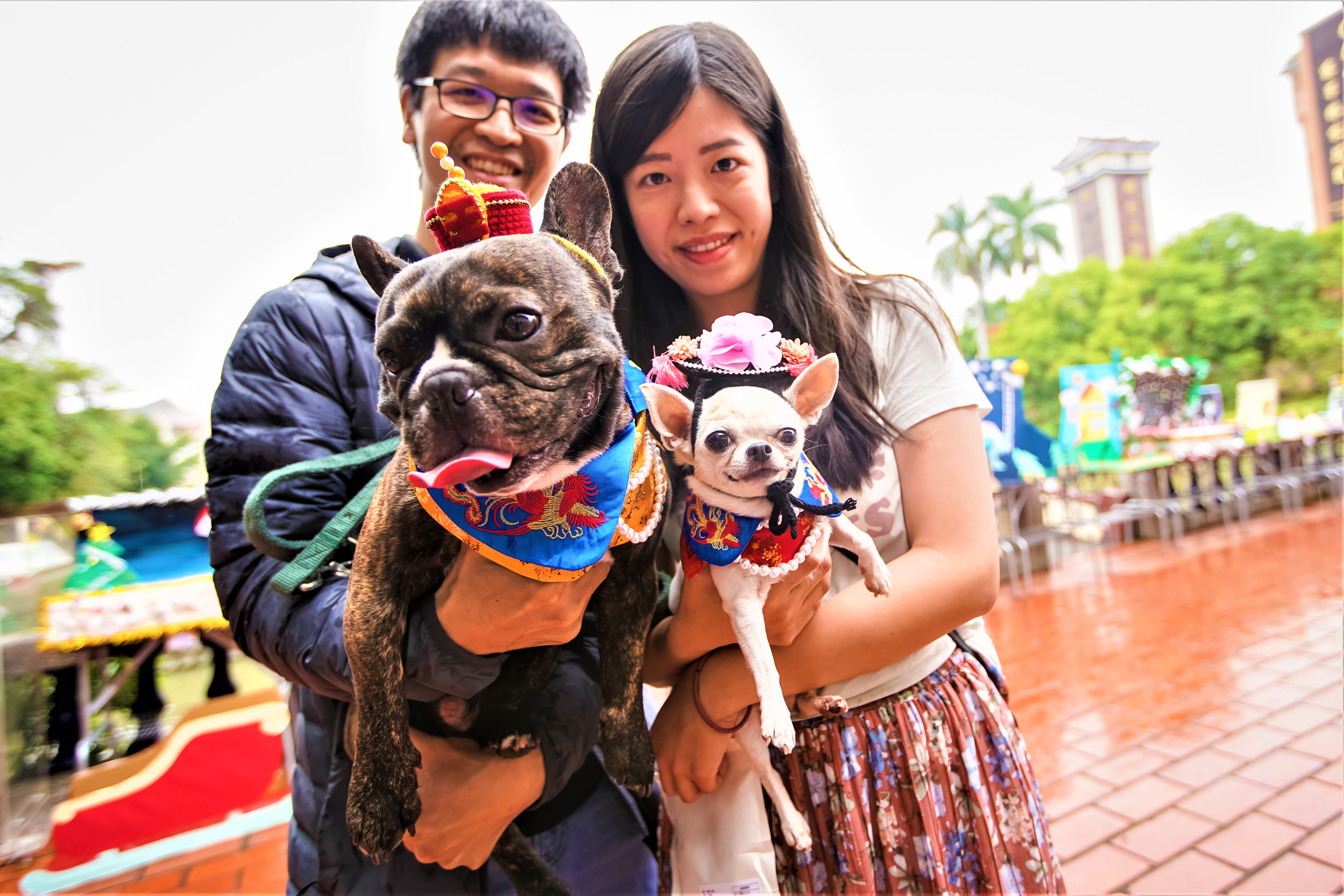 明台宠物创意大赛“狗狗上太空”拿冠军| 明台高中| 创意造型| 大纪元